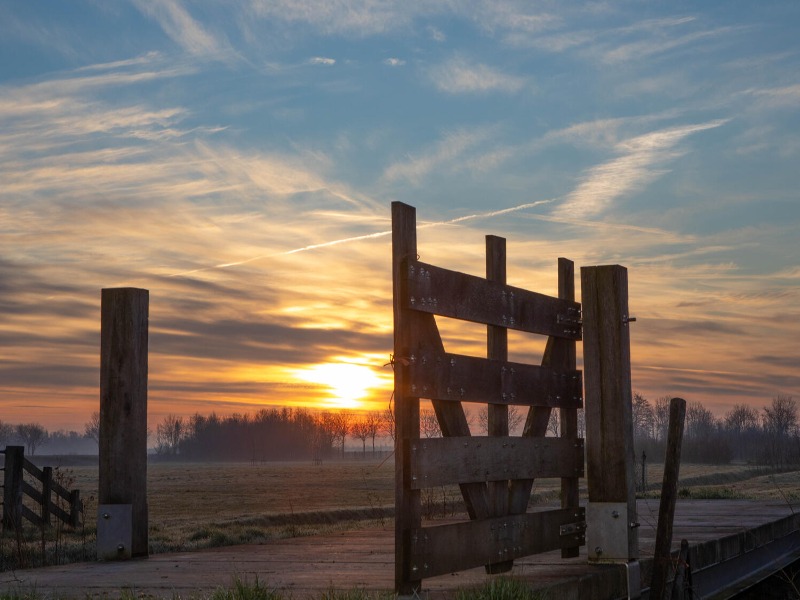 Foto (AbDonkerFotografie) (78).jpg