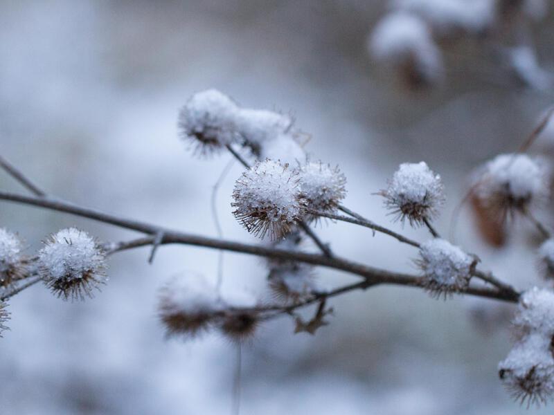 Foto (AbDonkerFotografie) (2).jpg